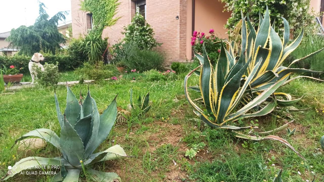 Casa Vincenzo 130 Mq Con Portico Ed Ingresso Esclusivo Dal Giardino Villa Felino Exterior photo