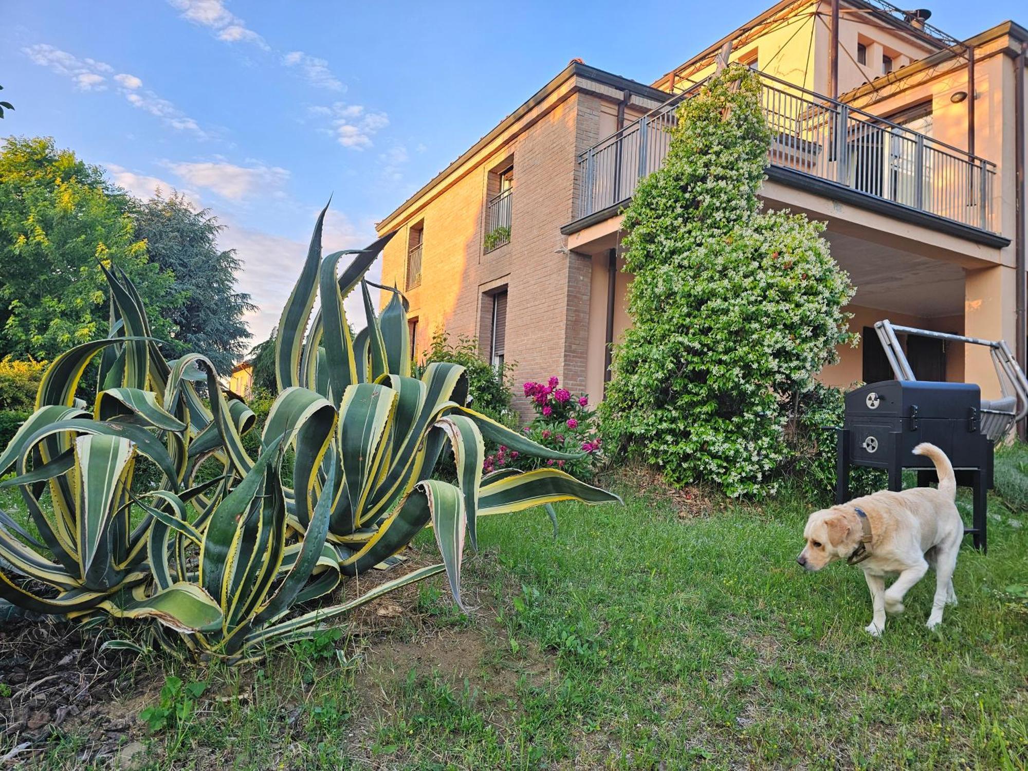 Casa Vincenzo 130 Mq Con Portico Ed Ingresso Esclusivo Dal Giardino Villa Felino Exterior photo