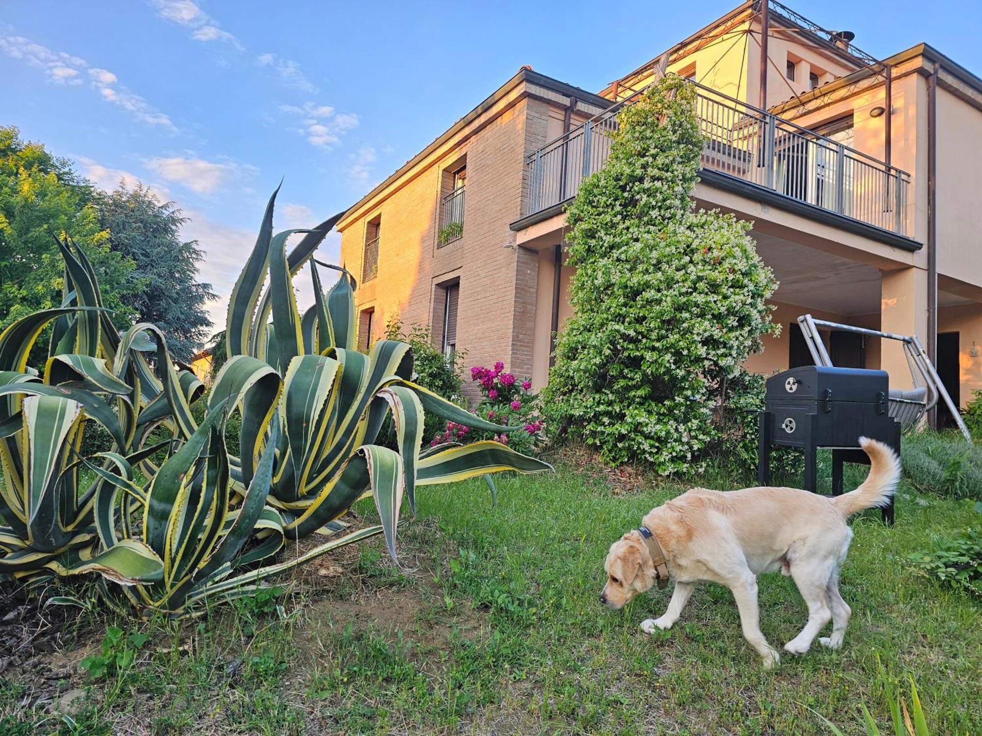 Casa Vincenzo 130 Mq Con Portico Ed Ingresso Esclusivo Dal Giardino Villa Felino Exterior photo